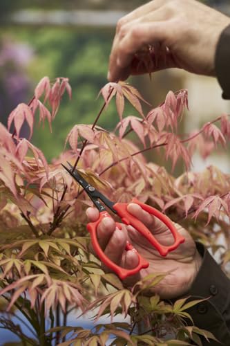 Felco 420 Trimming Scissors – 6.1" Garden Clippers with Fine Tip & Non-Stick Blade | Pruning Shears for Gardening | Garden Scissors for Plant with Stainless Steel Blade, Built-In Ruler - Image 7