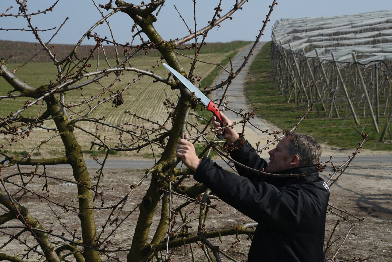 FELCO 611 Pruning Saw – Straight Pull-Stroke Saw for Tree Trimming & Forestry | Tree Branch Cutter | Handsaw with Tapered Hardened Steel 13" Blade, Non-Slip Handle, Carrying Sheath, Swiss Precision - Image 4