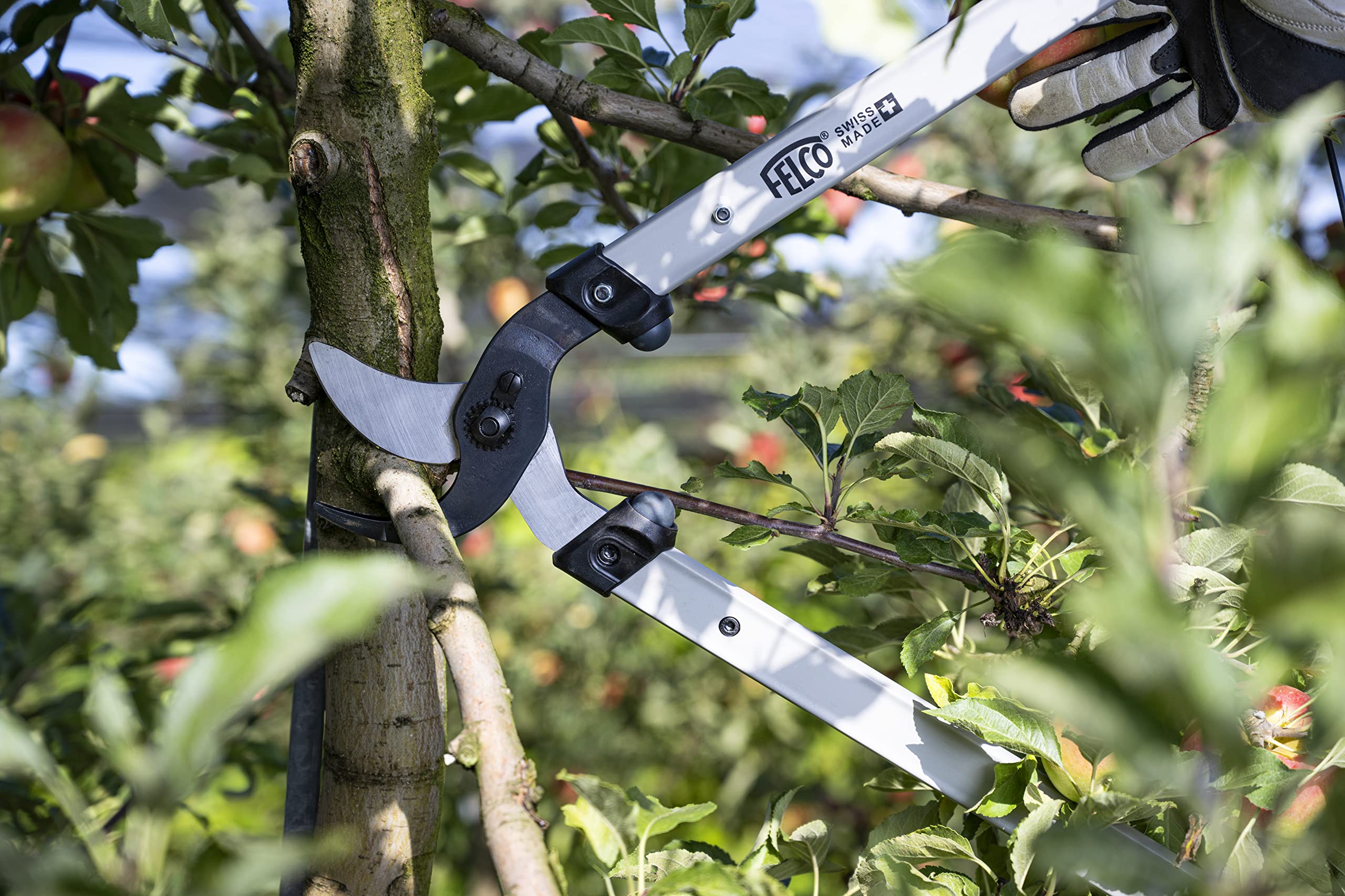 FELCO F221-70 Swiss Made Loppers for Gardening – 28" Lightweight Precision Loppers for Tree Trimming | Tree Branch Cutters | Tree Trimmer Tool with Curved Bypass Blade | I-Beam Handles | Orchard Reach - Image 4