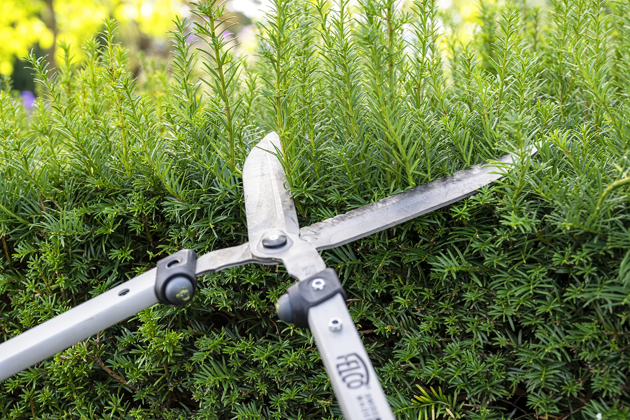 FELCO F250-63 Swiss Made Hedge Shears for Gardening – 25" Lightweight Precision Clippers for Shrub Trimming | Hedge Scissors | Trimmer Tool with Chromed Carbon Blades | I-Beam Handles - Image 8