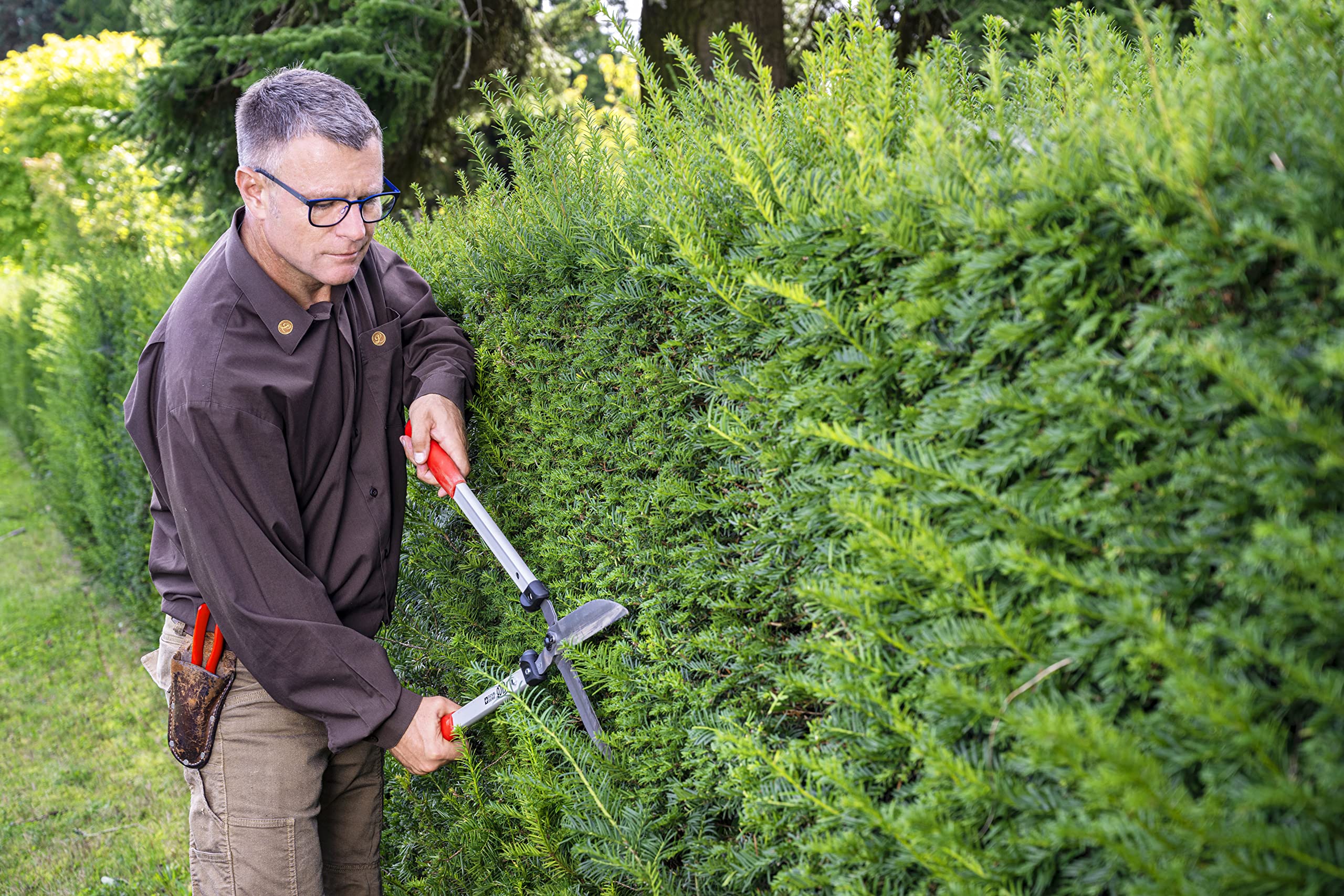 FELCO F250-63 Swiss Made Hedge Shears for Gardening – 25" Lightweight Precision Clippers for Shrub Trimming | Hedge Scissors | Trimmer Tool with Chromed Carbon Blades | I-Beam Handles - Image 6